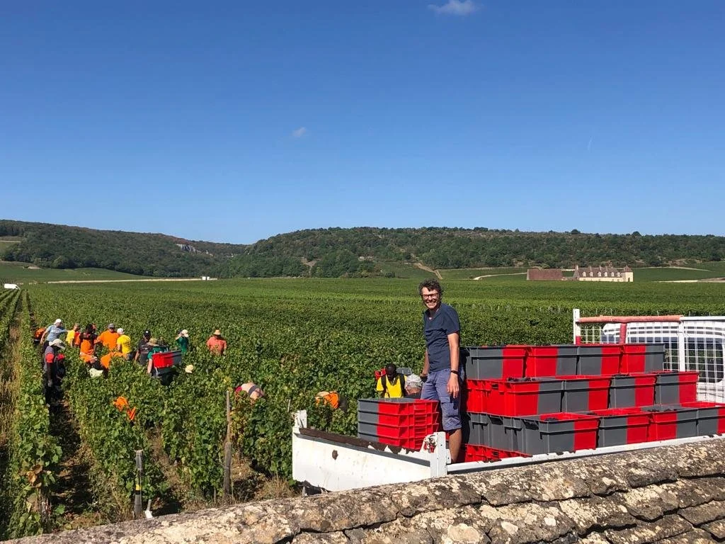 Bernard Rion — Crescendo Wines